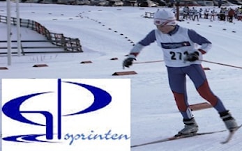 Resultater fra GP-sprinten 2017